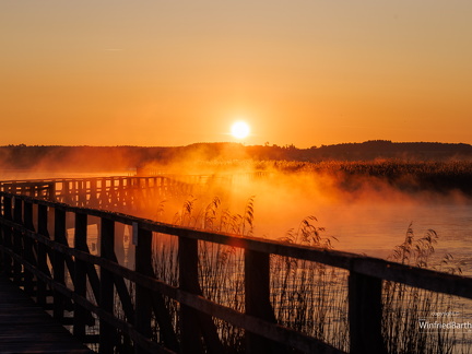 Sonnenaufgang am Federsee 1