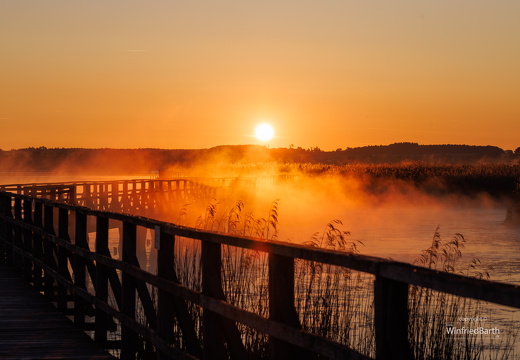 Sonnenaufgang am Federsee 1