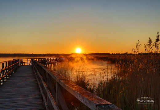 Sonnenaufgang am Federsee 2