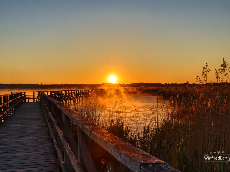 Sonnenaufgang am Federsee 2