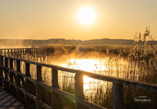 Sonnenaufgang am Federsee 3