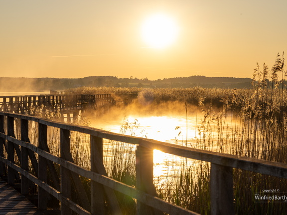 Sonnenaufgang am Federsee 3