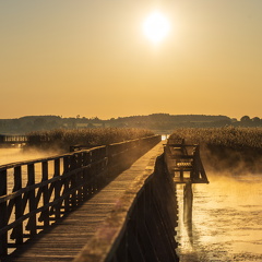 Sonnenaufgang am Federsee 4