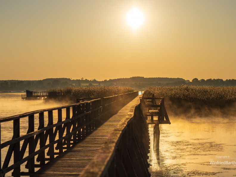 Sonnenaufgang am Federsee 4
